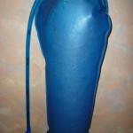 Air in the bladder