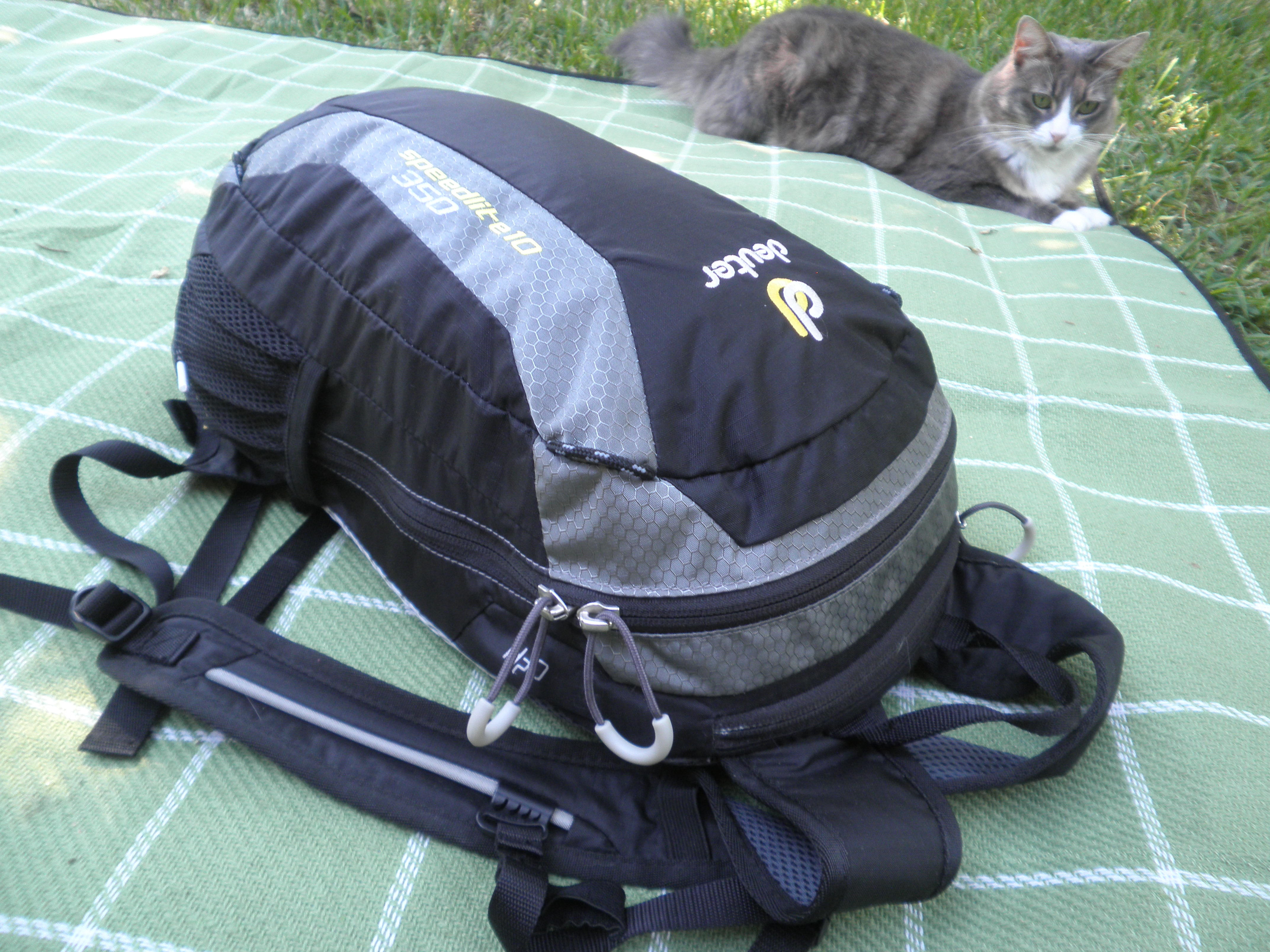 deuter speed lite 6